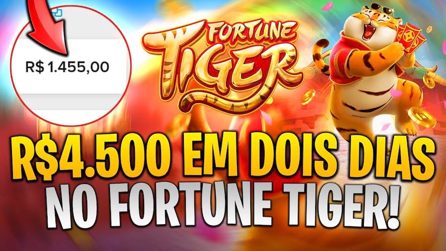 gusttavo lima é o dono da vaidebet