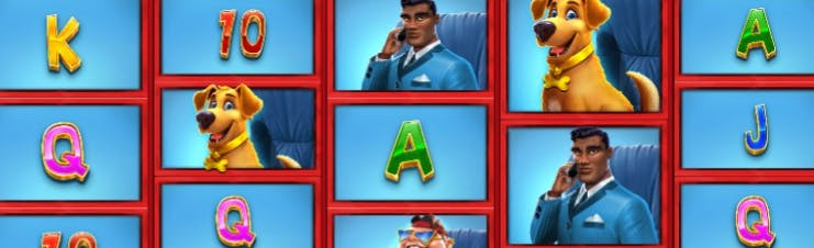 spicybet codigo promocional