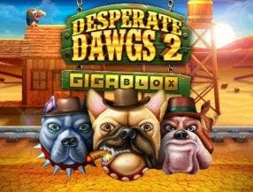 cassino online esporte da sorte